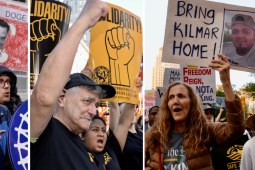 Montage of three photos, all showing details from crowds at large outdoor protests. 1: Workers hold blue signs printed with UAW logo, and someone behind holds a handmade "Bad DOGE" sign with Elon Musk's face. 2: An older white man and younger woman of color lean together. He has a fist in the air and she holds high a yellow sign with a fist graphic, the word "Solidarity!" and the Painters union logo. 3: A white woman holds a handmade "Bring Kilmar Home" sign with a photo of his face.