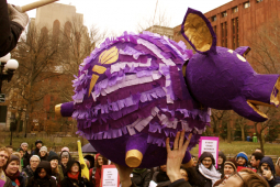 A crowd surrounds a large festive purple piggy-bank piñata suspended above them. It is labeled NYU and is in school colors, purple and gold.