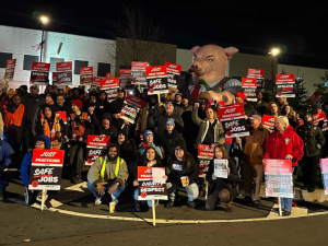 Workers gather holding signs reading: Just Practicing for Safe Jobs, and Just Practicing for Dignity and Respect.