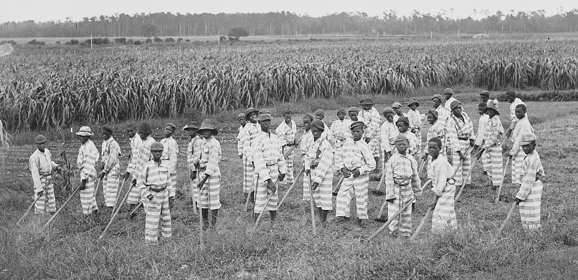 Child convicts at work in the fields.