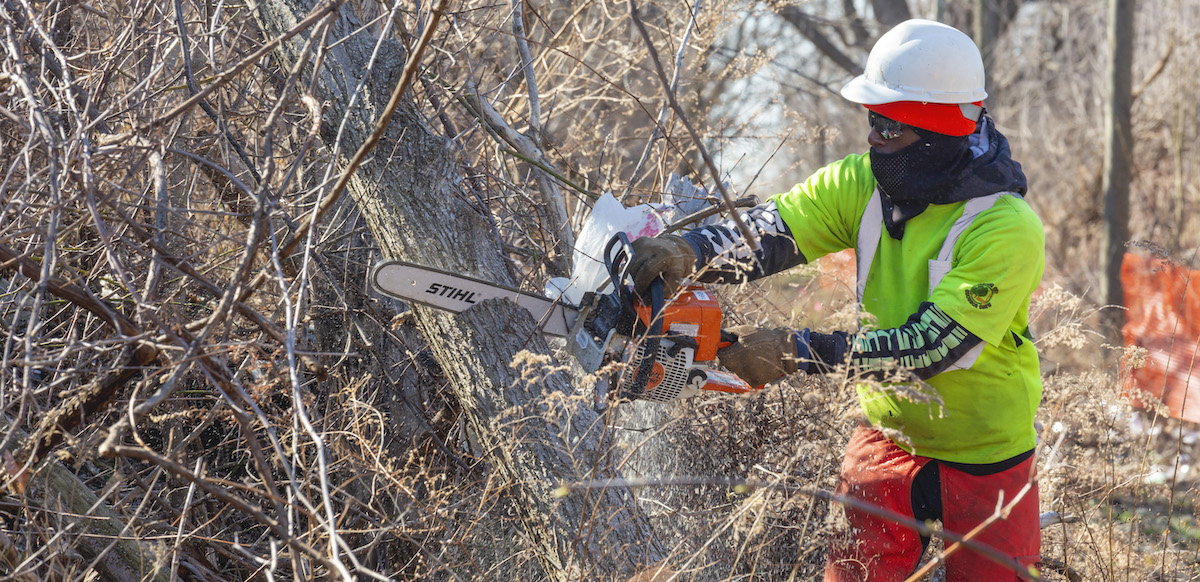 A person works outside among leafless trees, slicing through the trunk of one with an orange chainsaw. The person is wearing a neon green shirt and protective gear: gloves, a hardhat, sunglasses, a gaiter mask, and thick orange pants or chaps.