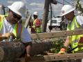 Workers lifting a downed electrical pole. 